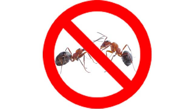Mẹo vặt hữu ích từ muối có thể bạn chưa biết