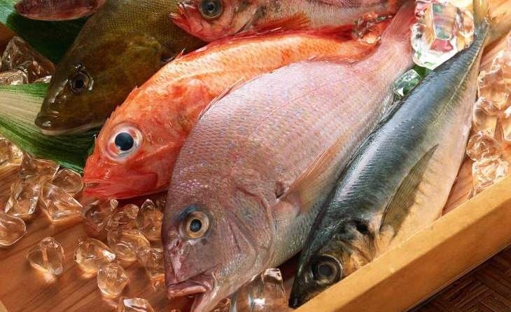 Một số vấn đề cần lưu ý khi bạn bảo quản thịt, cá trong tủ lạnh