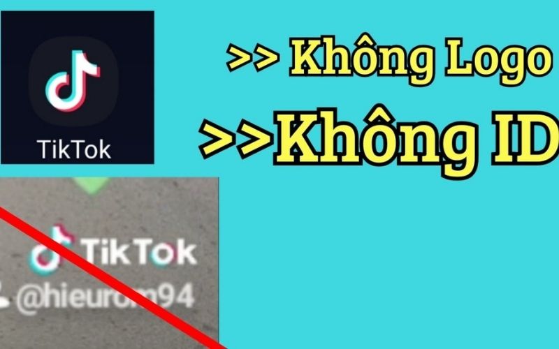 Lưu ý để tải video không logo