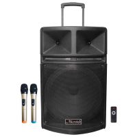 Loa Kéo MICROTEK MTK-16