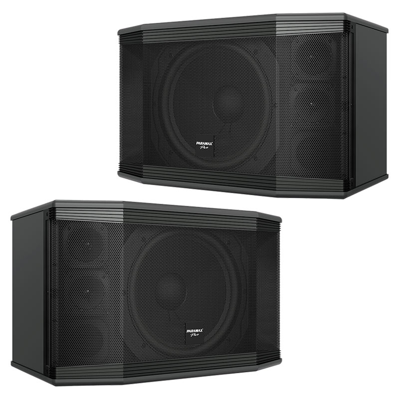 Loa Paramax Pro-C10