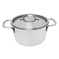 Nồi inox Duxton DG-24TT1DI