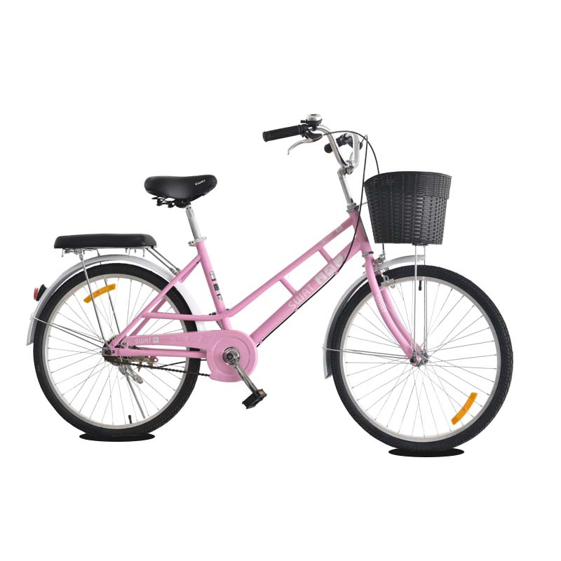 Xe đạp phổ thông hiệu SWAT 24