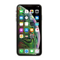 Điện thoại iPhone Xs Max 512 GB (Xám)
