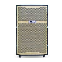 Loa Du Lịch ICORE PT-16