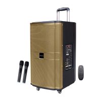 Loa Kéo MICROTEK MTK 15-01