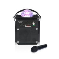 Loa Du Lịch SOUNDMAX D1000