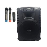 Loa kéo du lịch Fenda FN-15A Plus