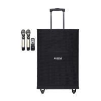 Loa Kéo Du Lịch FENDA WD15A