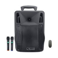 Loa Kéo Du Lịch MICROTEK MTK-06