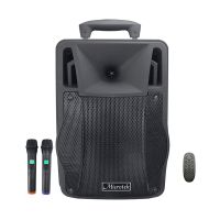 Loa Kéo MICROTEK MTK-06R