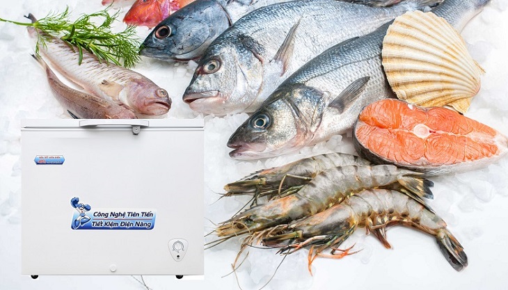 Sự khác biệt giữa dàn lạnh đồng và dàn lạnh nhôm trên tủ đông