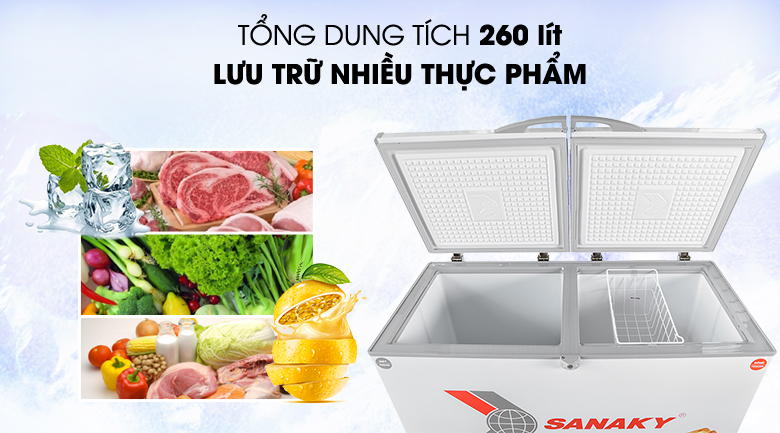 Tủ đông Sanaky