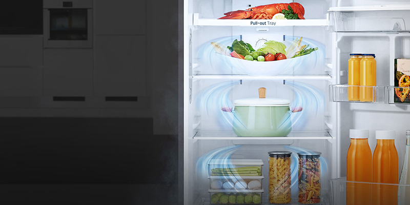 Tủ lạnh LG GN-L205S 205 lít | dienmaythiennamhoa.vn Tủ lạnh LG GN-L205S 205 lít